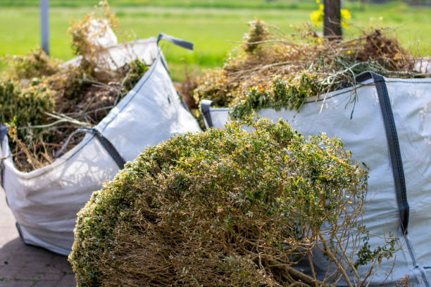 Basement Cleanout Services in Chillicothe, IL