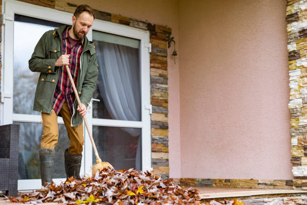 Best Commercial Cleanout Services  in Chlicothe, IL